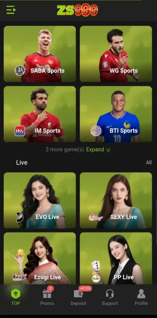 ZS999 Game APK